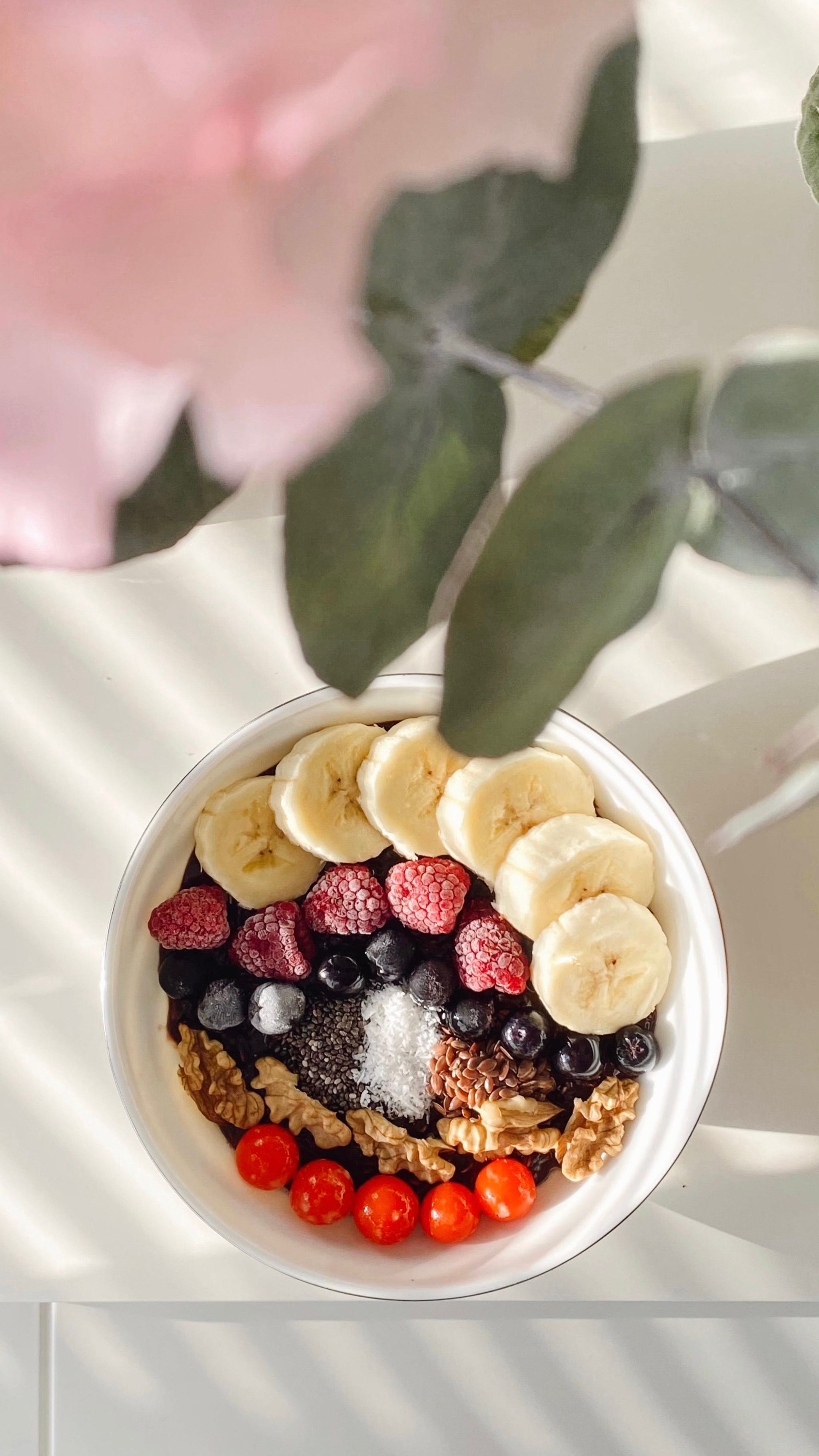 Dark chocolate squares with blueberries, blackberries, and raspberries as sweet brain foods to improve memory